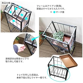 温室・飼育ケース arisa みどり商会 セット温 Lサイズ プラケース | RIUM